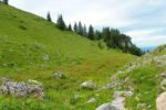 2014-07-05_Laengental-N-Hochweg (882). JPG